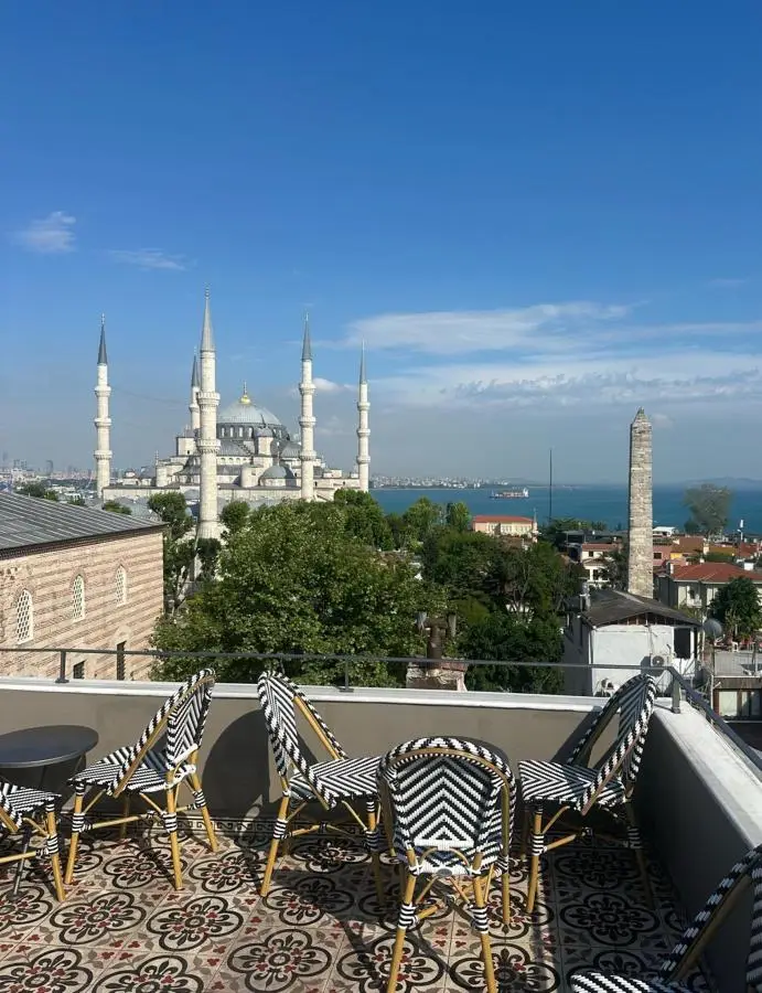 ibrahim pasha4